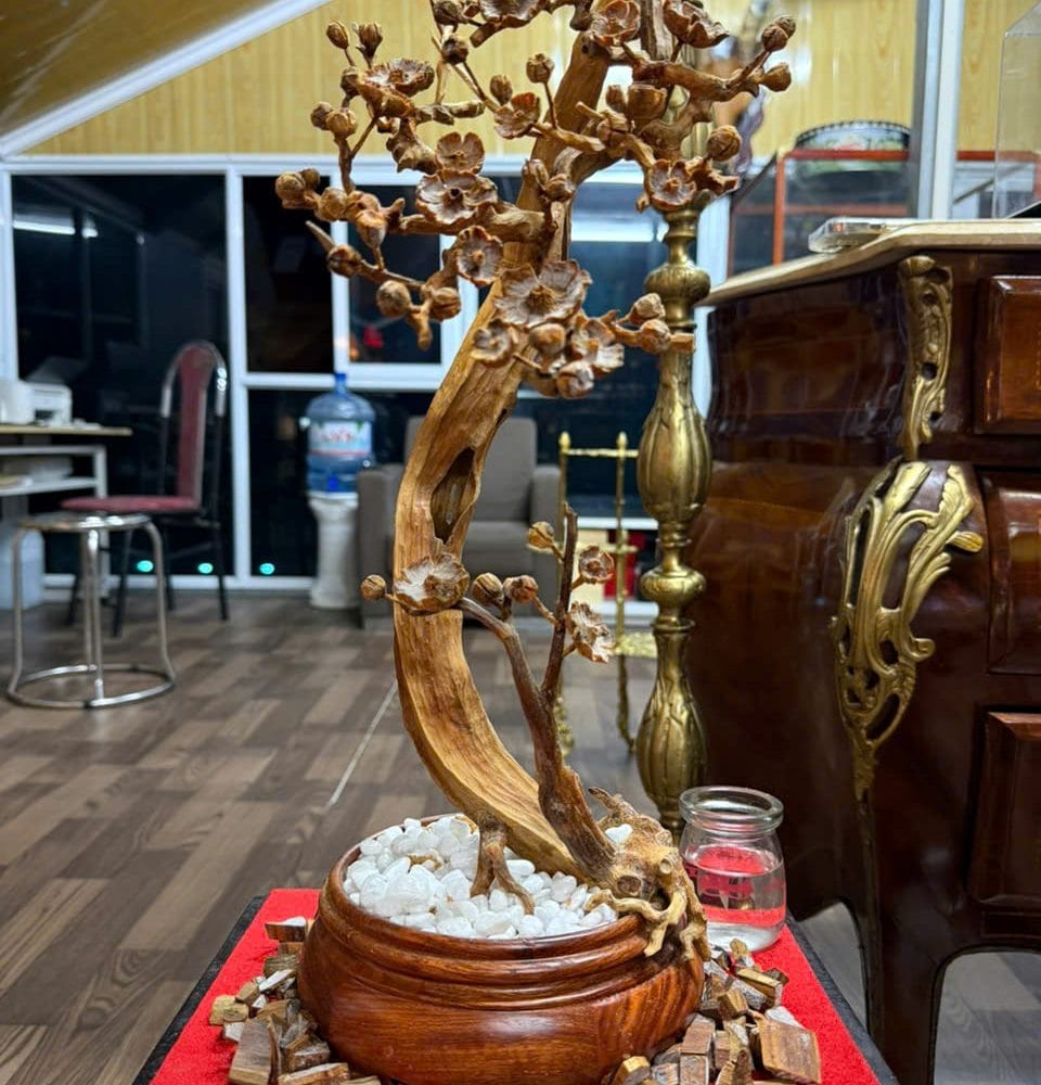 Cây Đào Hoàng Đàn Tuyết